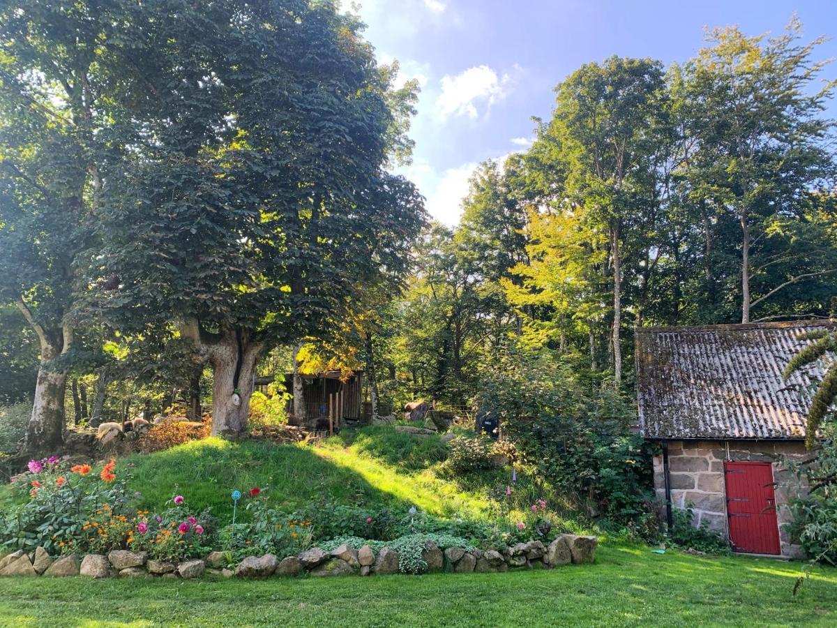 Farm Stay Happy Dogs Ranch Veberod Екстер'єр фото