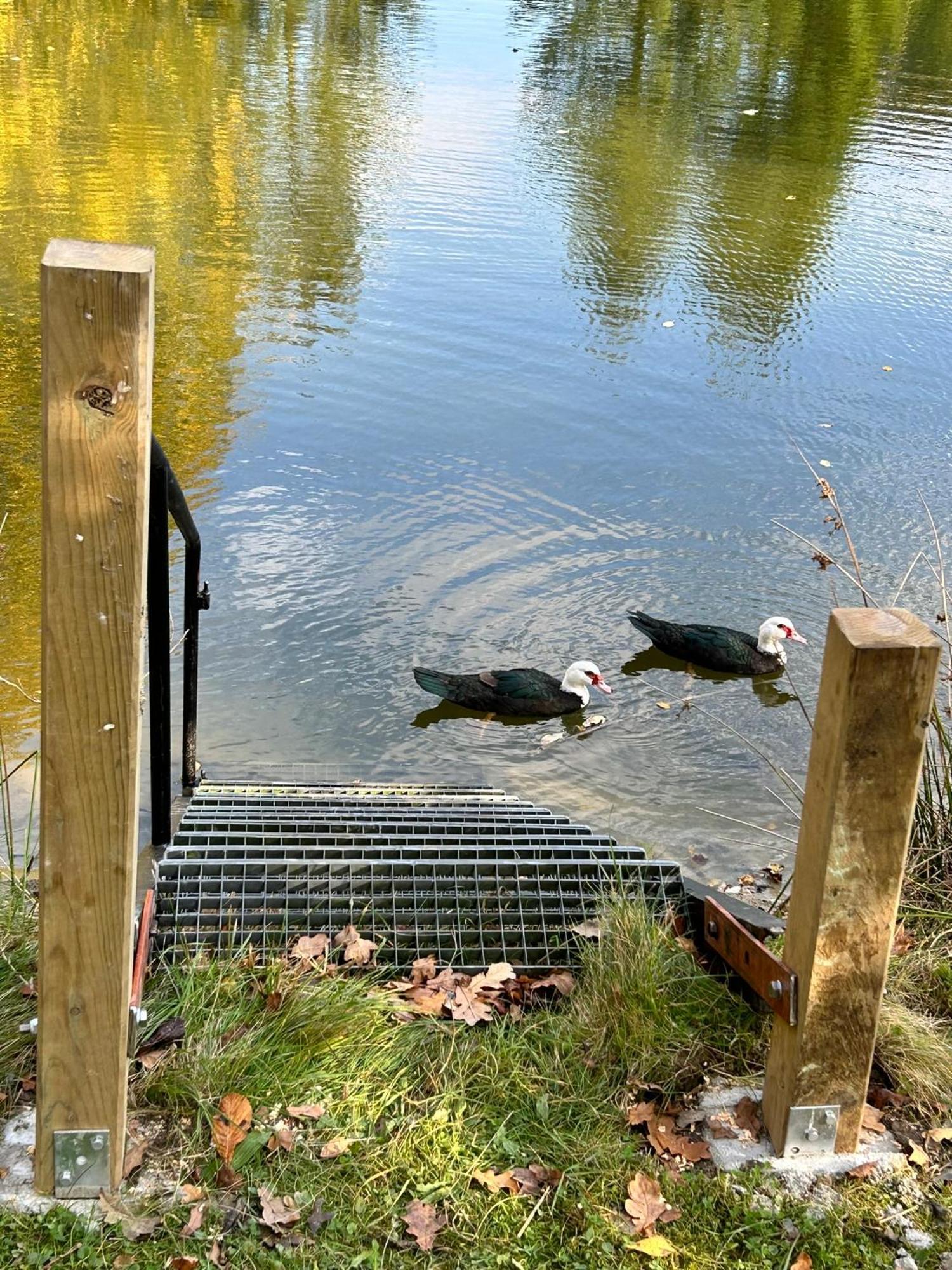 Farm Stay Happy Dogs Ranch Veberod Екстер'єр фото