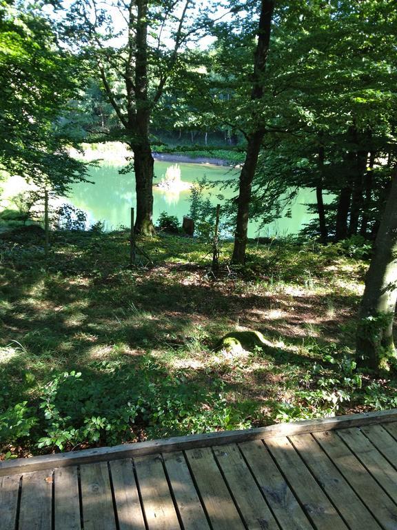 Farm Stay Happy Dogs Ranch Veberod Екстер'єр фото