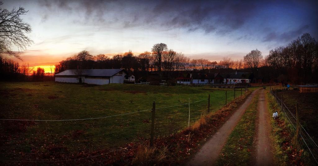 Farm Stay Happy Dogs Ranch Veberod Екстер'єр фото