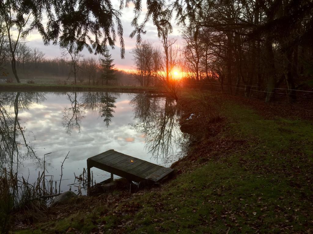 Farm Stay Happy Dogs Ranch Veberod Екстер'єр фото