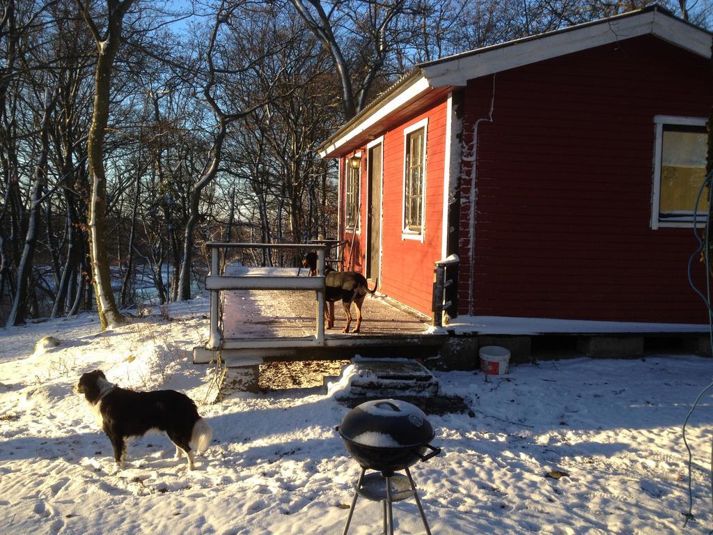 Farm Stay Happy Dogs Ranch Veberod Екстер'єр фото