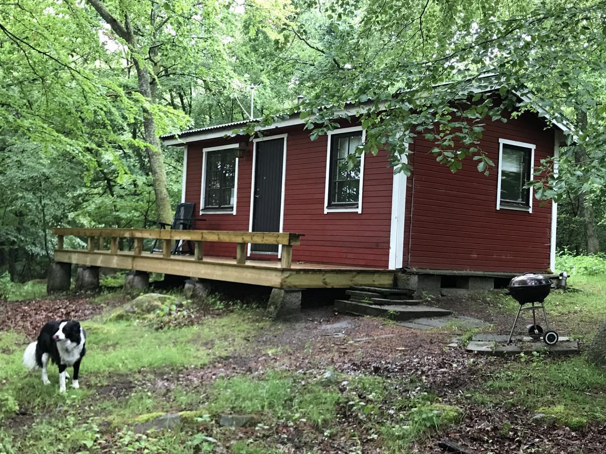 Farm Stay Happy Dogs Ranch Veberod Екстер'єр фото