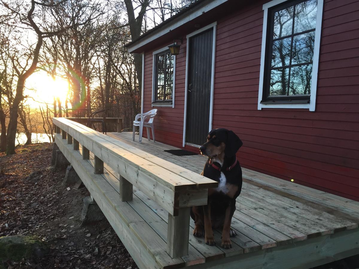 Farm Stay Happy Dogs Ranch Veberod Екстер'єр фото