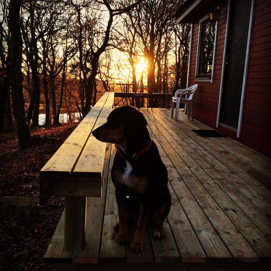 Farm Stay Happy Dogs Ranch Veberod Екстер'єр фото